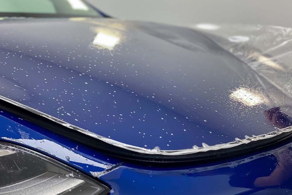 What is paint protection film