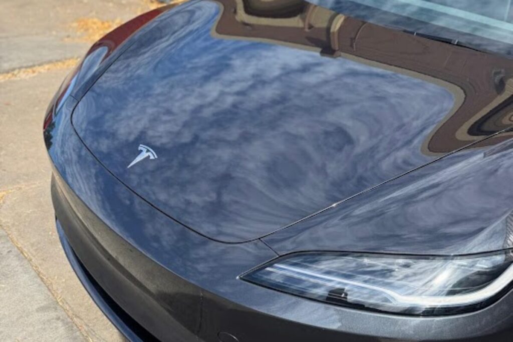 paint protection film